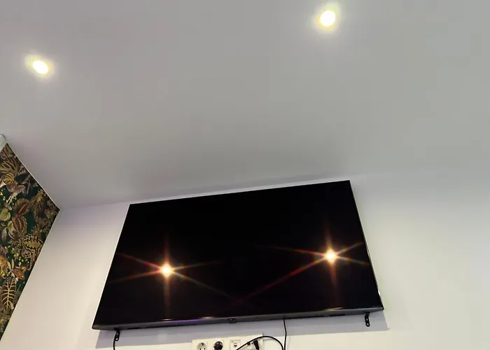 Проживание в семье Magnifica